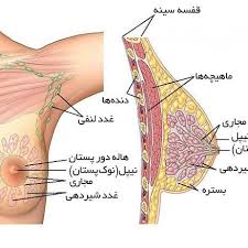 پاورپوینت بیماریهای پستان