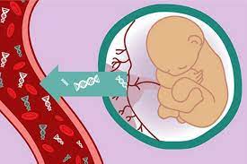 پاورپوینت با عنوان  (cell free fetal DNA (cffDNA) or  Non Invasive Prenatal Testing (NIPT